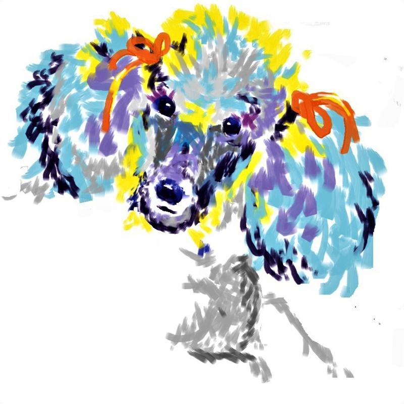 Poodle Colorblast