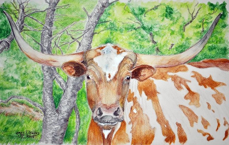 TEXAS LONGHORN