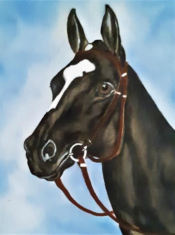 Stately Quarter Horse